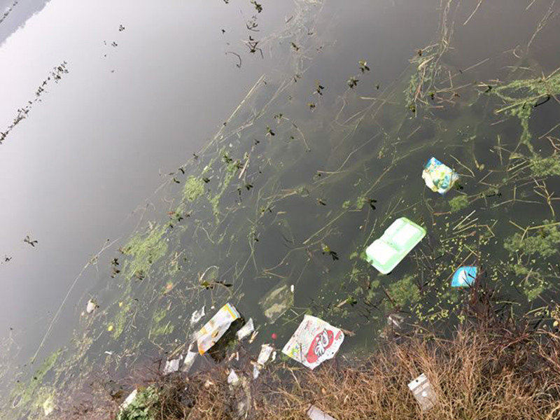 生物毒性檢測(cè)儀測(cè)定受污染水體的急性毒性 生物毒性檢測(cè)儀測(cè)定受污染水體的急性毒性