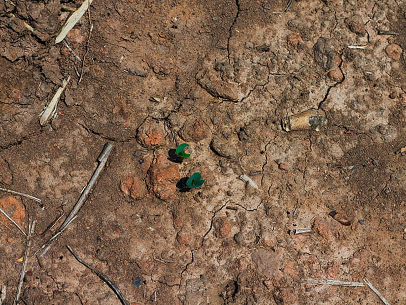 高智能土壤養(yǎng)分速測儀提高作物產(chǎn)量