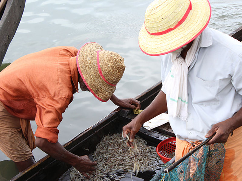 水產(chǎn)養(yǎng)殖業(yè)檢測水質(zhì)的儀器是哪款 水產(chǎn)養(yǎng)殖業(yè)檢測水質(zhì)的儀器是哪款