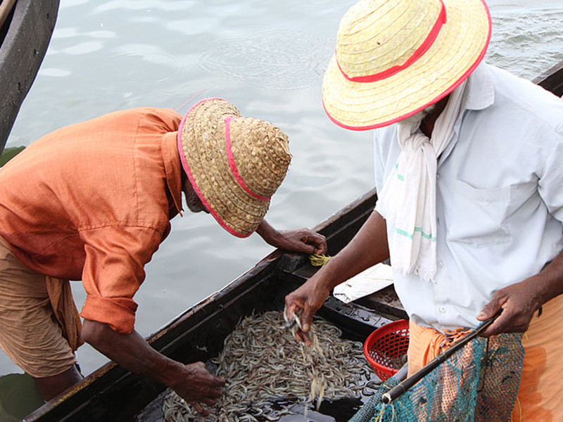 余氯檢測儀對水產(chǎn)養(yǎng)殖有什么幫助 余氯檢測儀對水產(chǎn)養(yǎng)殖有什么幫助