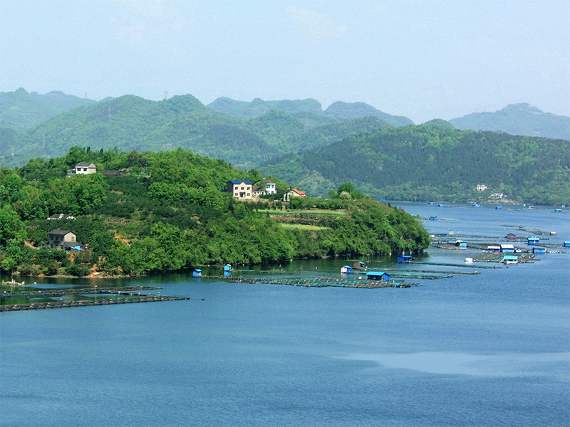 cod快速檢測(cè)儀推薦（詳解cod快速檢測(cè)儀工作原理）