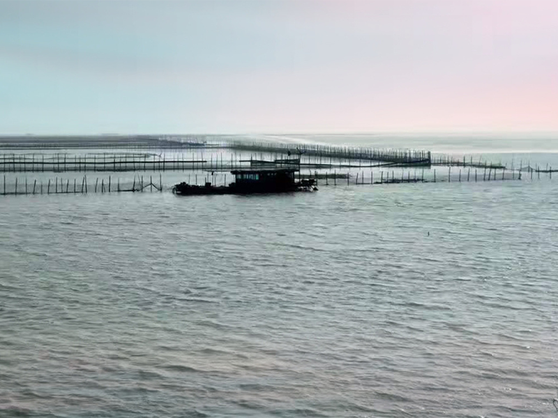 養(yǎng)魚(yú)水質(zhì)檢測(cè)項(xiàng)目