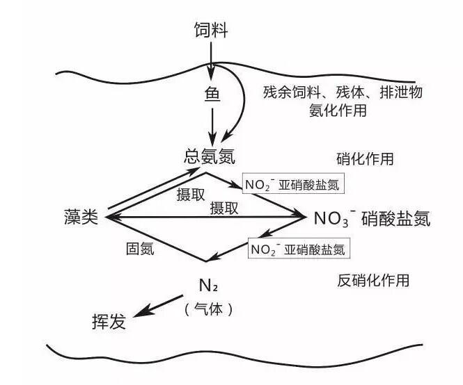 水產養(yǎng)殖常規(guī)水質指標的標準 水產養(yǎng)殖常規(guī)水質指標的標準