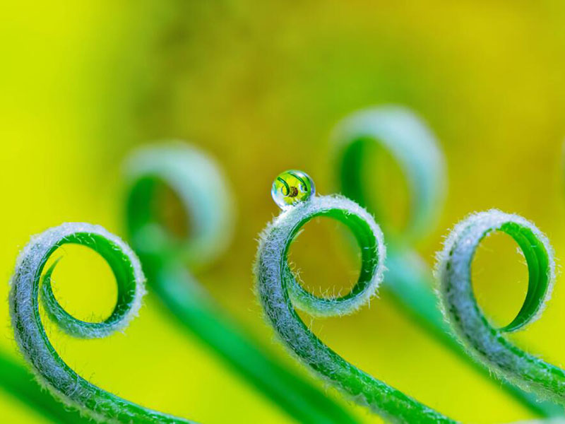 余氯、總氯、有效氯有什么區(qū)別