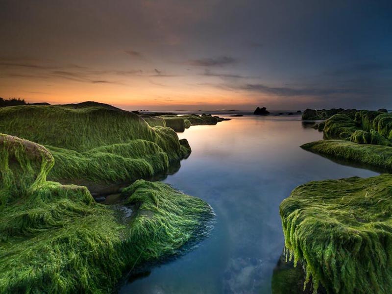 COD測(cè)定儀的操作說明