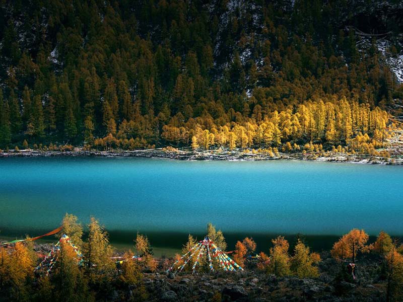 【實(shí)例】COD在線監(jiān)測儀使用常見故障