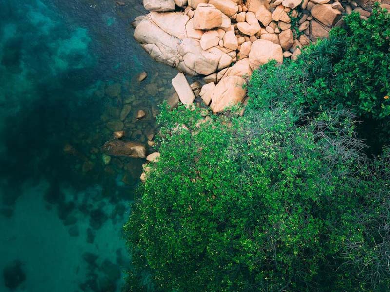 便攜式總磷檢測儀怎么使用