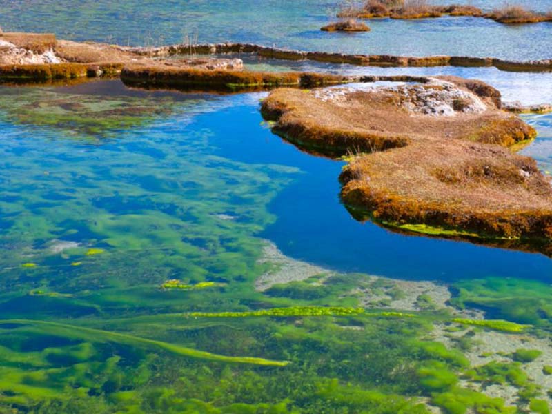 水質(zhì)總磷檢測結(jié)果保留幾位有效數(shù)字