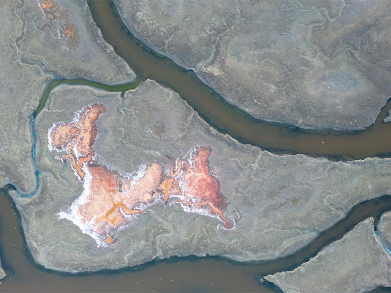 水質(zhì)亞氯酸鹽檢測(cè)儀應(yīng)用場(chǎng)景（水質(zhì)亞氯酸鹽檢測(cè)儀的作用）