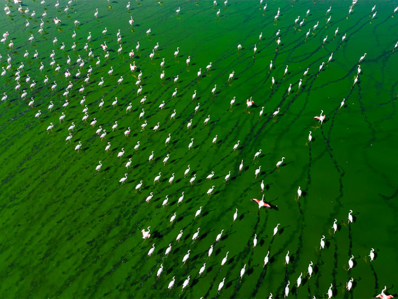 氨氮總氮檢測儀類型