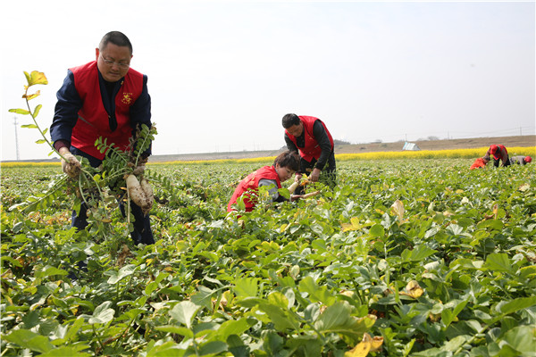 土壤養(yǎng)分速測(cè)儀助力農(nóng)貿(mào)開展科學(xué)施肥 土壤養(yǎng)分速測(cè)儀助力農(nóng)貿(mào)開展科學(xué)施肥