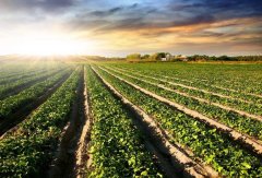 如何區(qū)分土壤肥料快速測(cè)試儀的優(yōu)缺點(diǎn)