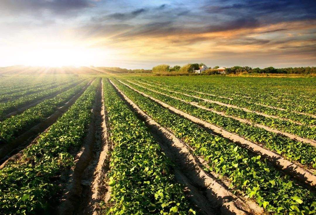 土壤肥料快速測(cè)試儀