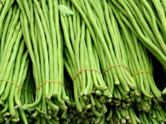 豆角中含有滅蠅胺？怎么解決？