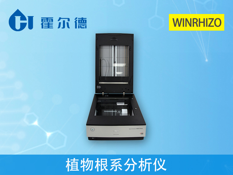 了解植物根系，對種植有什么幫助